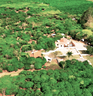 fazendatoda
